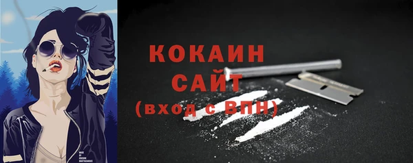 индика Липки