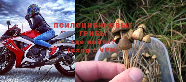 ALPHA PVP Лиски