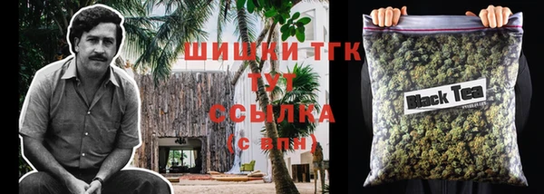 индика Липки